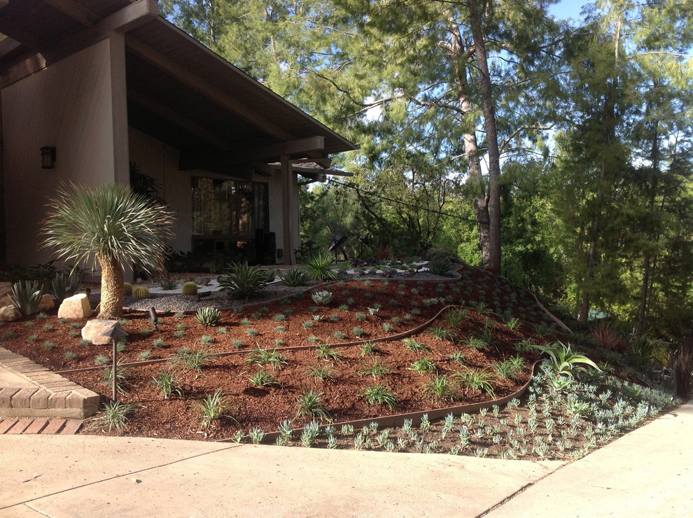 Landscape Design Los Angeles
 Drought tolerant Landscape Design Modern Landscape