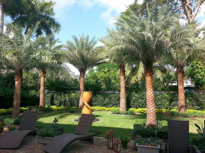 Landscape Design Miami
 Miami Landscaping Designers