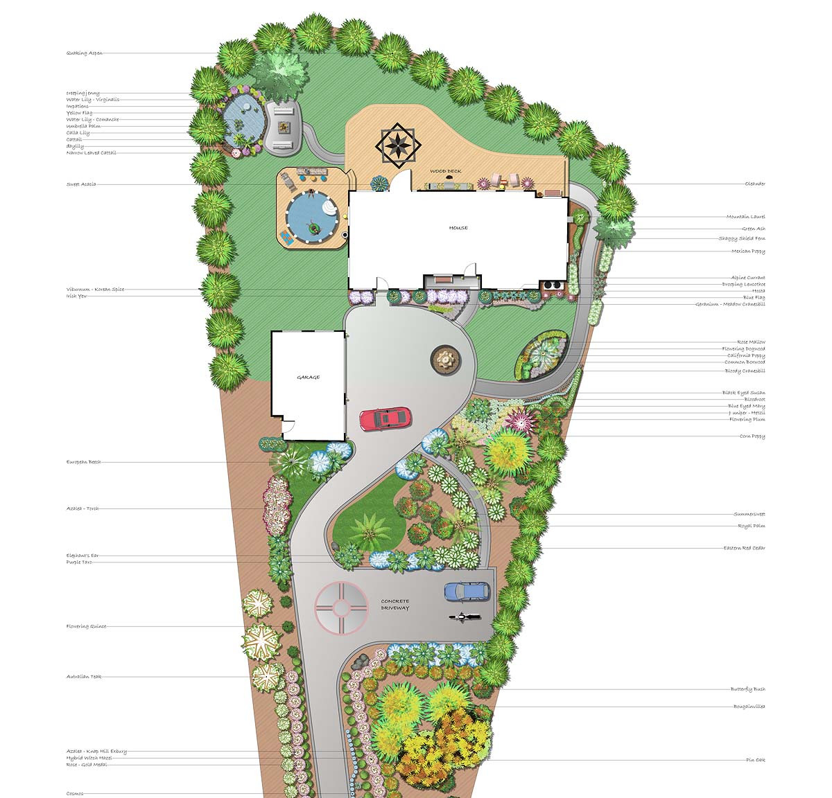 Landscape Design Plan
 Professional Landscape Software