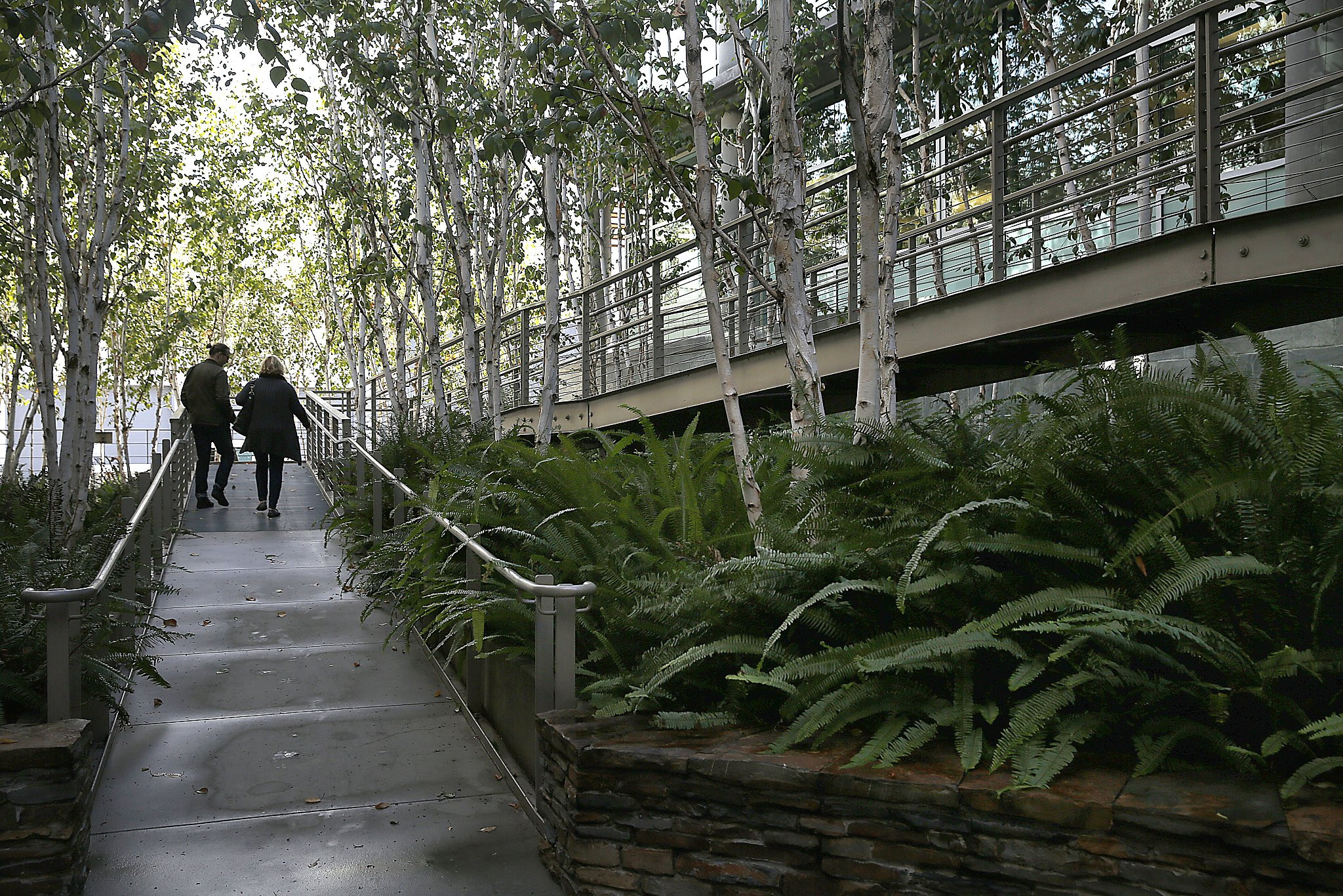 Landscape Design San Francisco
 Landscape architects see creations evolve over time San