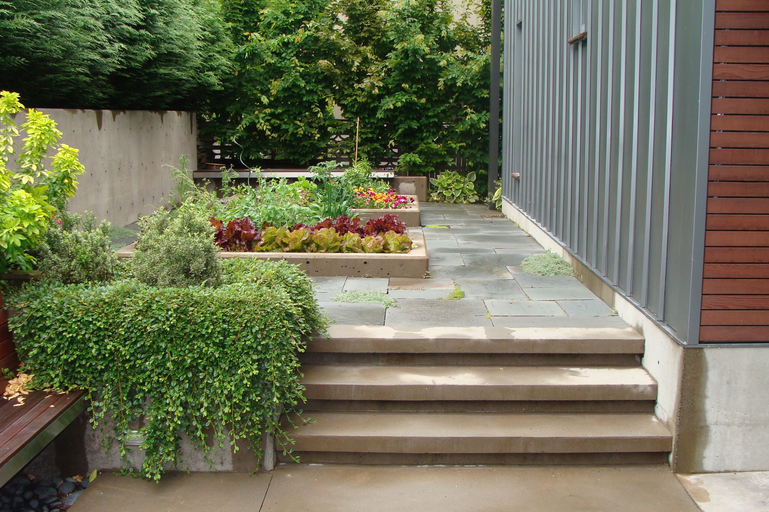 Landscape Design Seattle
 residential garden design