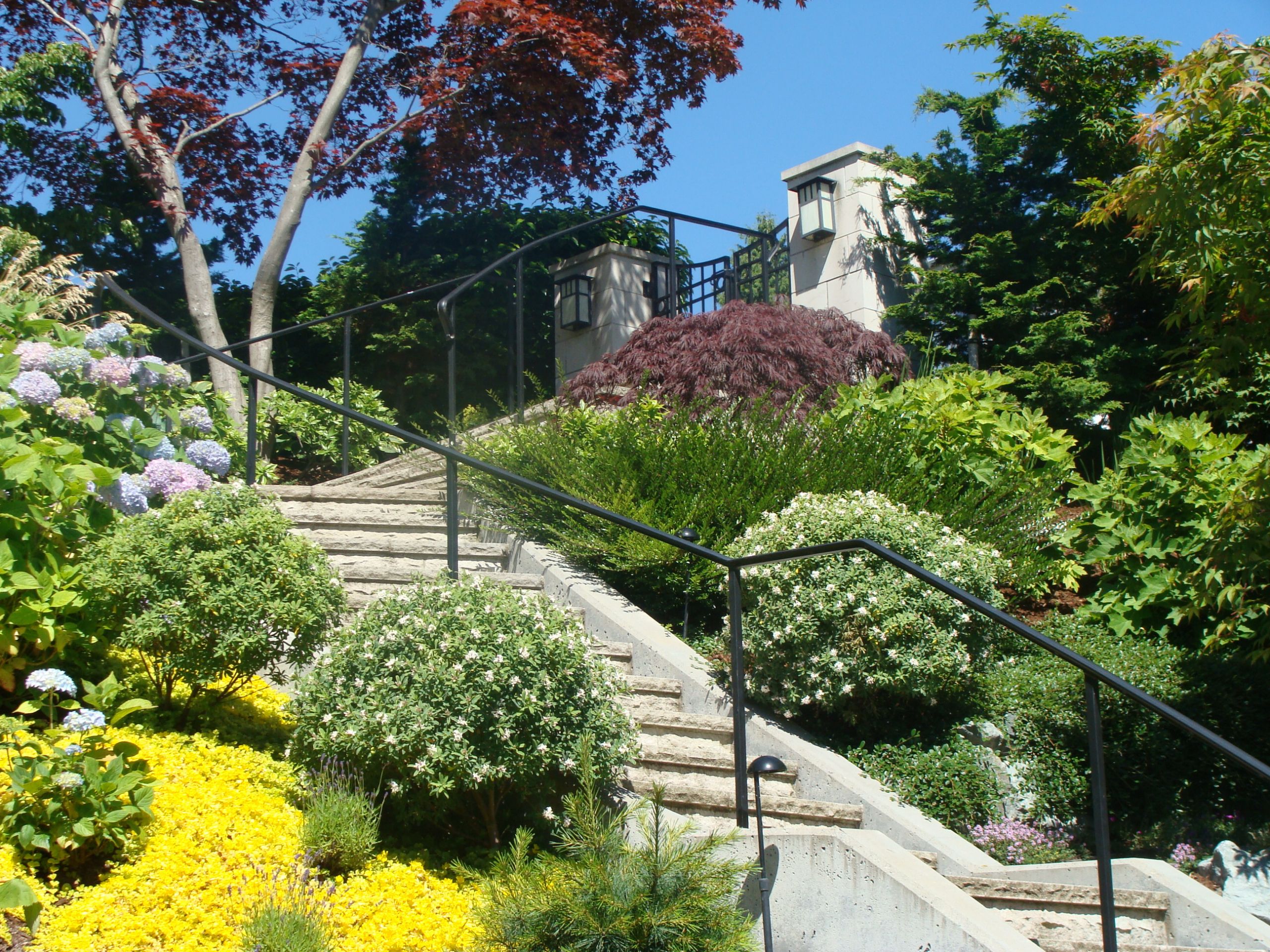 Landscape Design Seattle
 Seattle landscape architecture