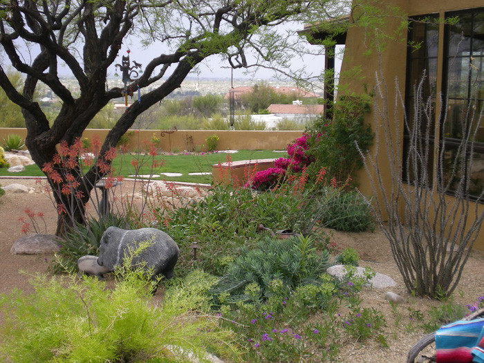 Landscape Design Tucson
 Bl Landscaping design tucson az
