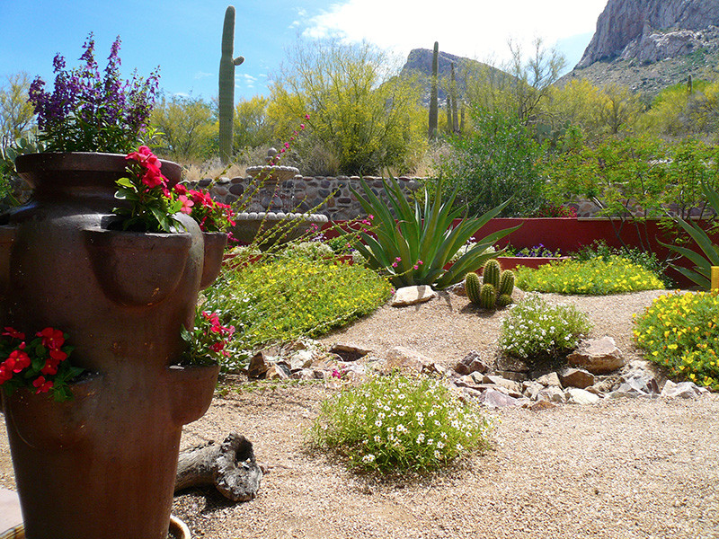 Landscape Design Tucson
 Landscape Design and Construction by Sonoran Gardens Inc