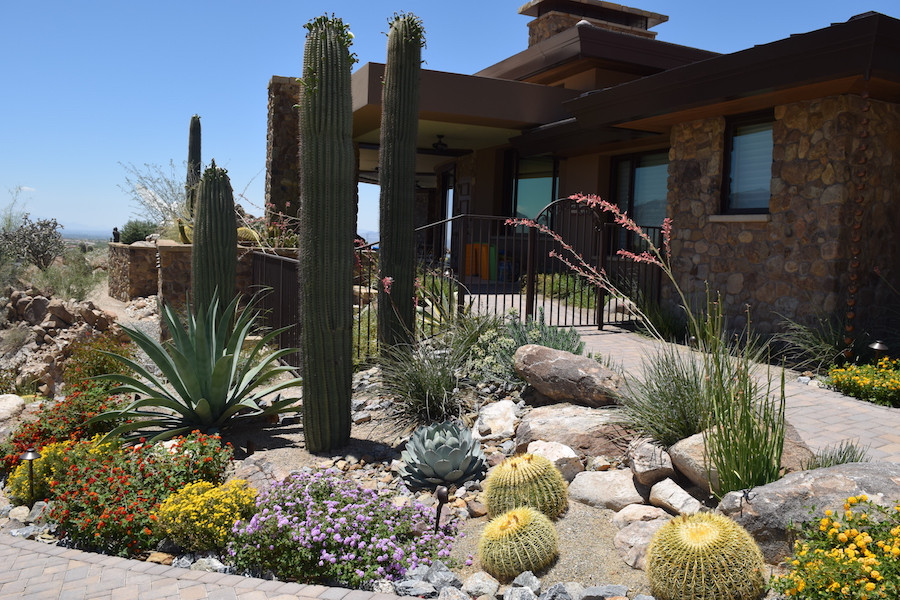 Landscape Design Tucson
 The Garden Gate Landscape Design at an Affordable Price