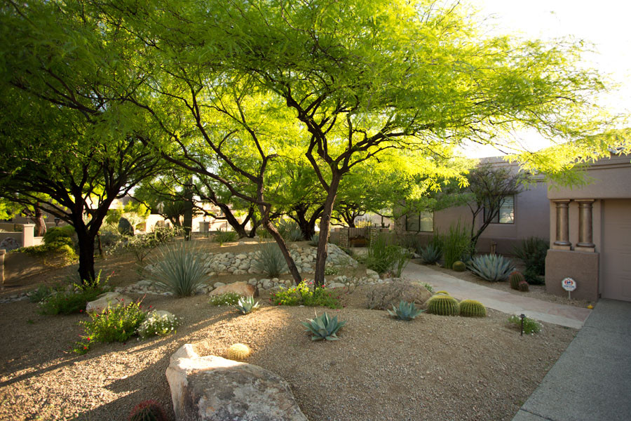 Landscape Design Tucson
 Landscape Maintenance Tucson AZ