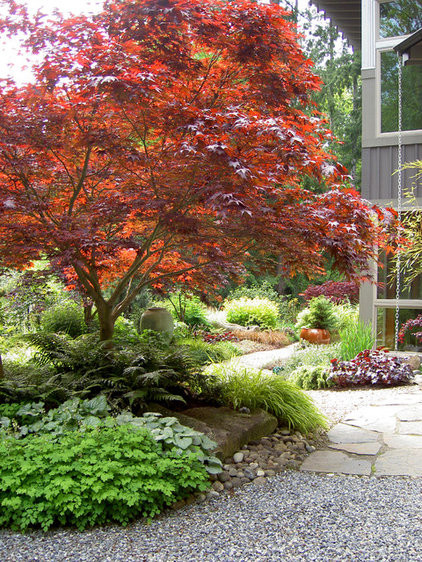 Landscape Design With Japanese Maple
 Gainesville Landscape Design Plant of the Month Japanese