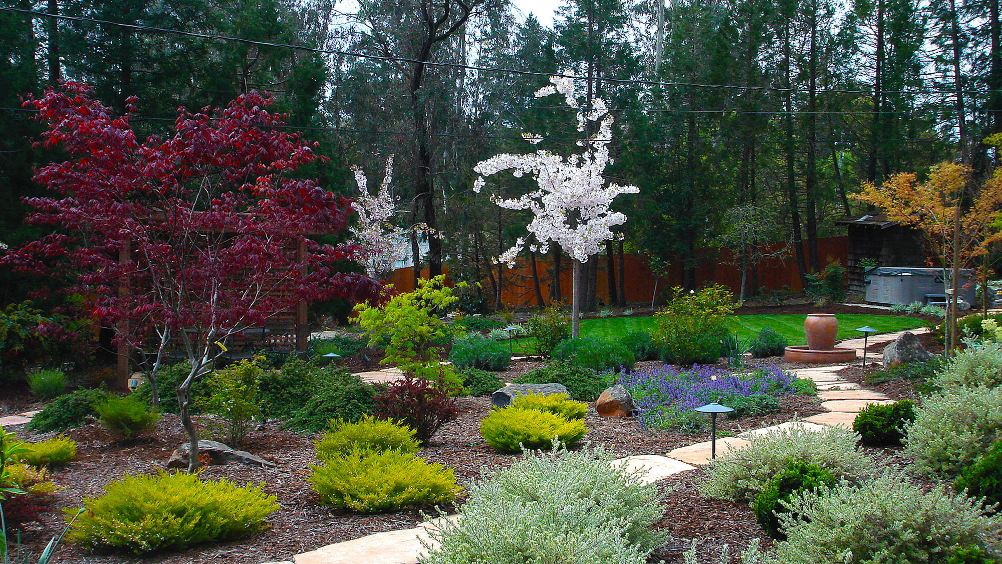 Landscape Design With Japanese Maple
 Garden Design Portfolio