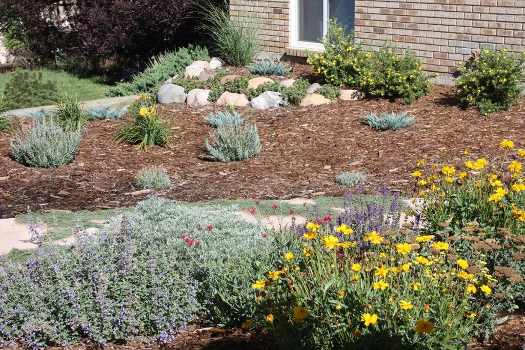 Landscape Designers Reno
 Desert Reno Landscaping