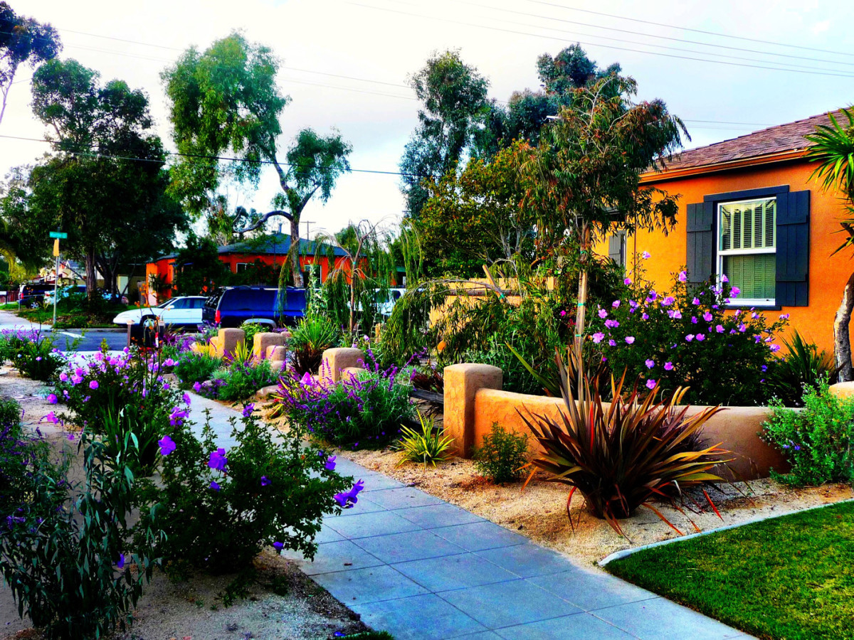 Landscape Designs San Diego
 Nature s Elements Landscaping San Diego Landscape