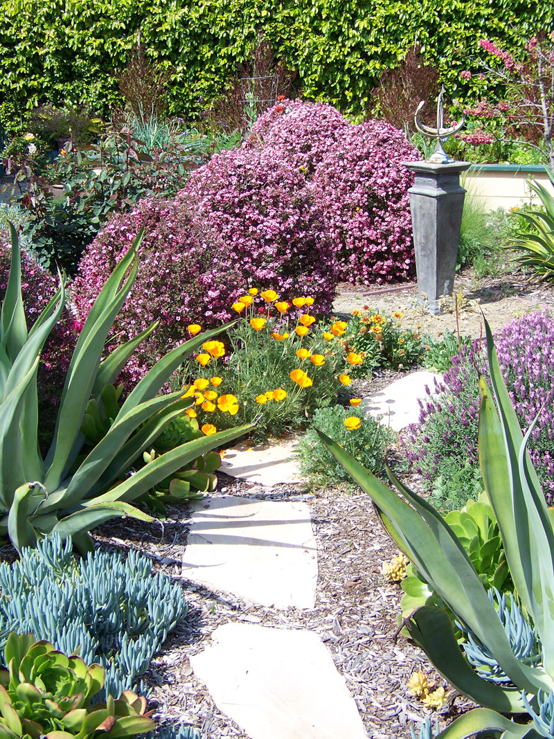 Landscape Designs San Diego
 Garden Landscape Designer San Diego Landscaping with