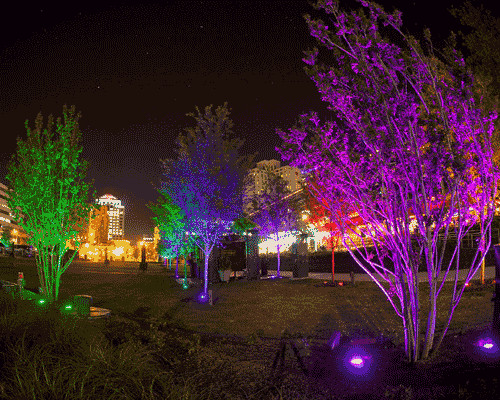 Landscape Led Lighting
 LED Landscape Lighting Brings Holiday Cheer with the