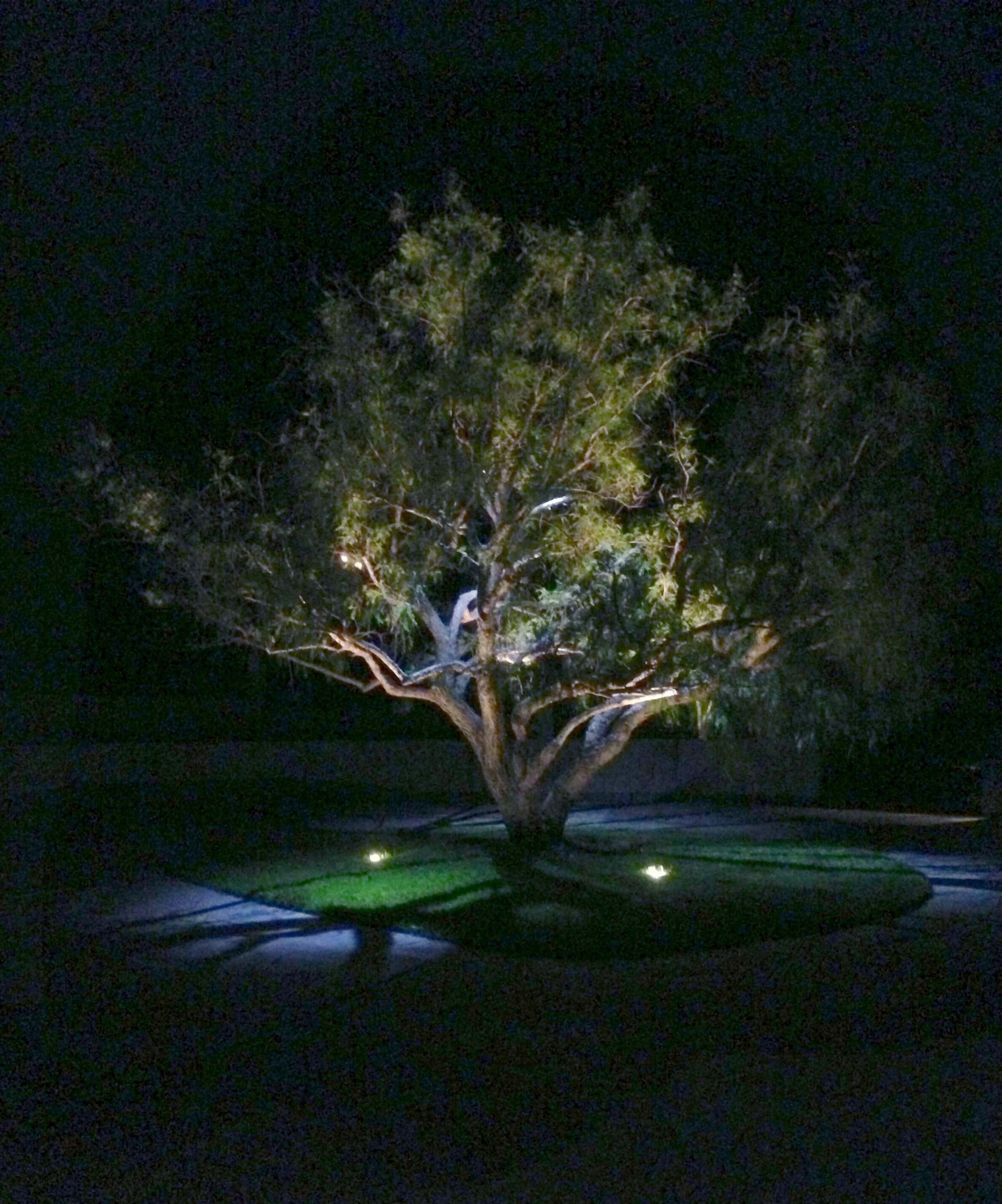 Landscape Led Lighting
 How to Hire a Landscape Lighting Contractor Illuminated