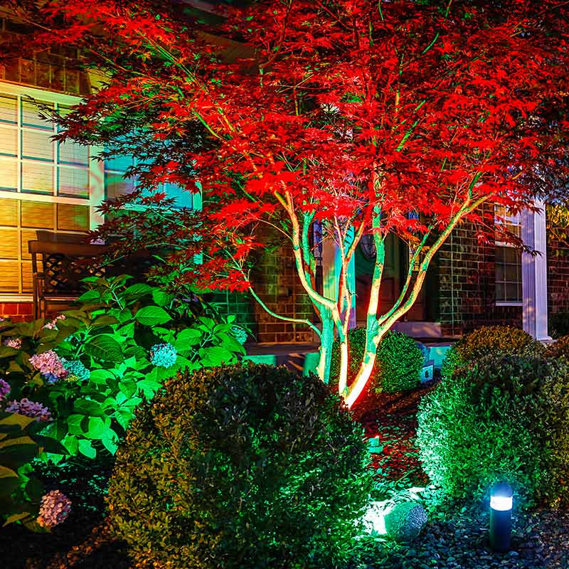 Landscape Led Lighting
 LED Landscape Lighting Ideas for Creating an Outdoor Oasis