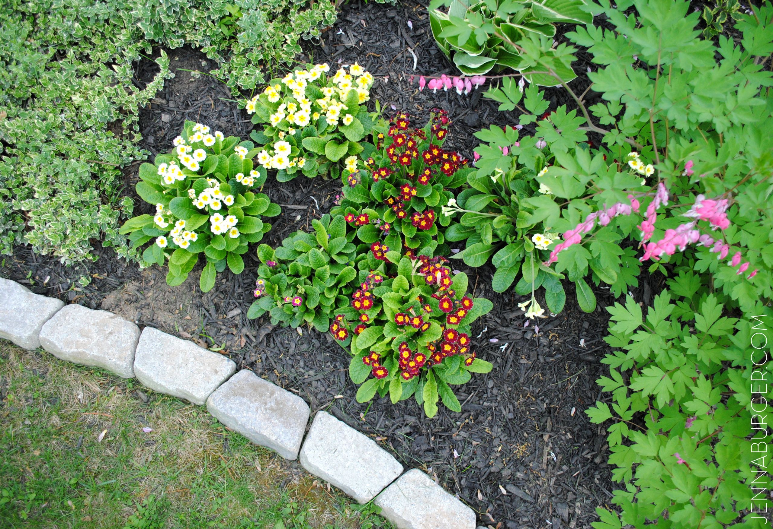 Landscape Stone Edging
 The Perfect Border for your Beds Jenna Burger Design LLC