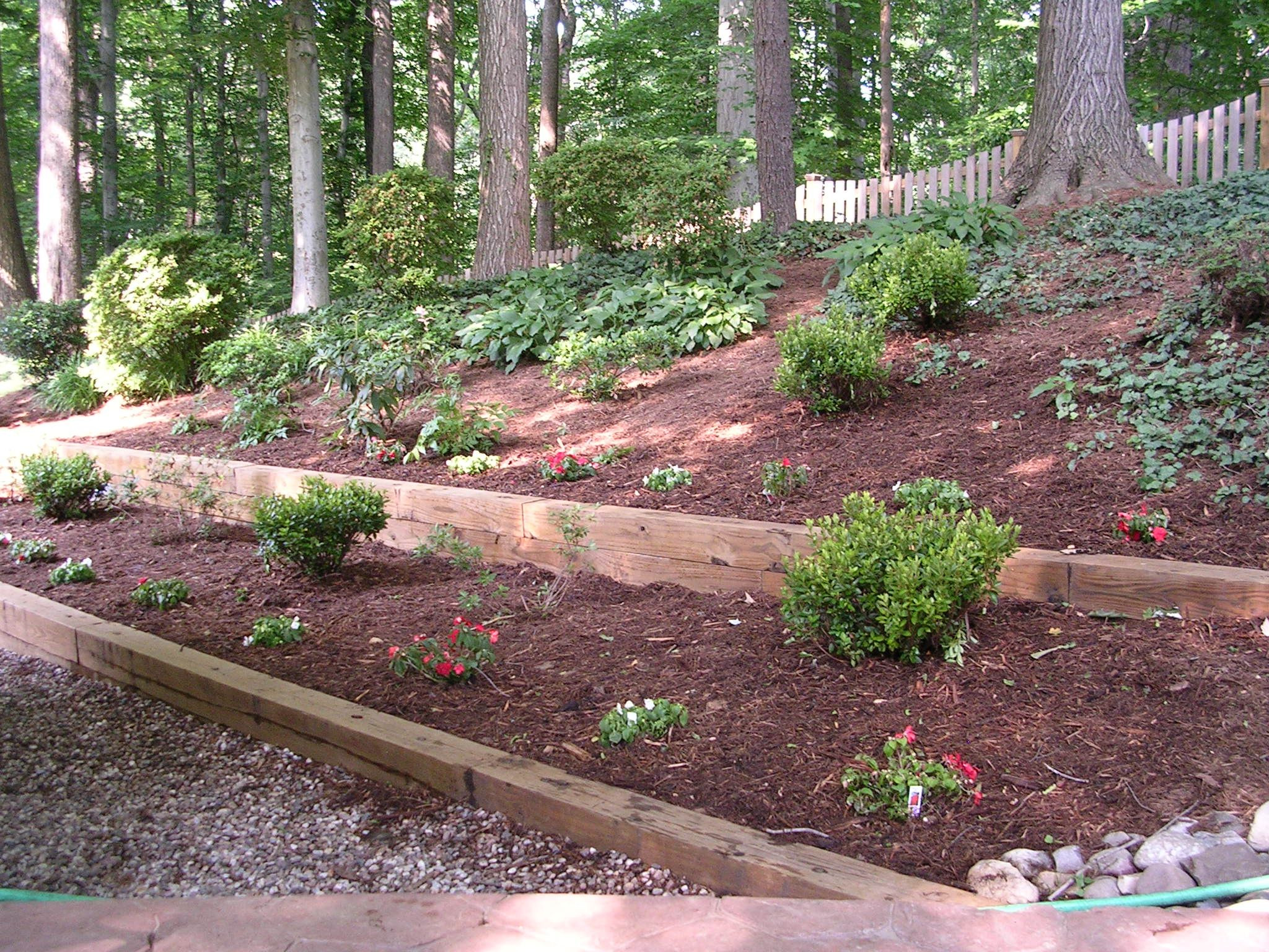 Landscape Timber Edging Ideas
 Popular Landscaping Category For Landscape Timber Life