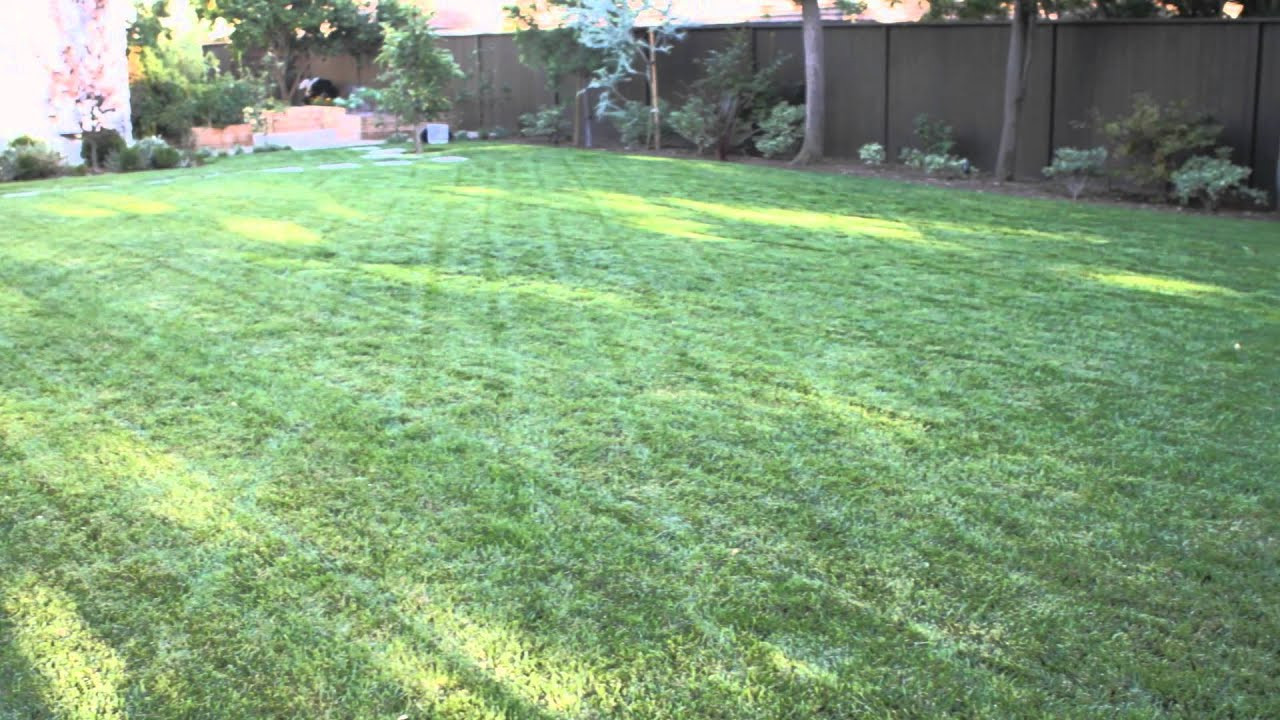 Landscaping Ideas For Large Backyard
 How to Landscape a Big Backyard Landscaping & Garden