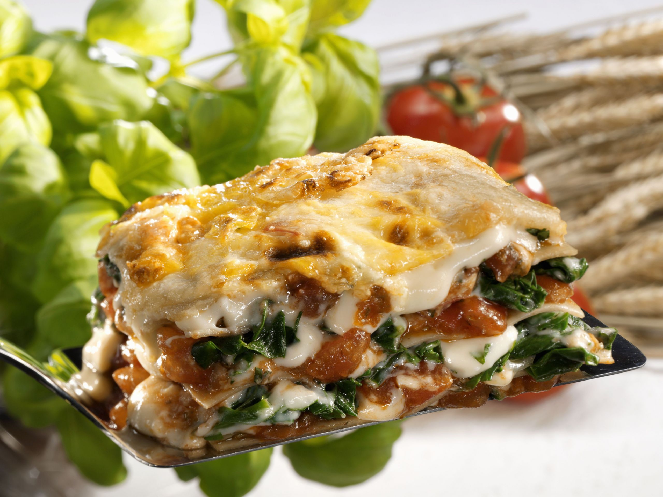 Lasagna Recipes With Ricotta Cheese
 Spinach and Beef Lasagna With Ricotta Cheese