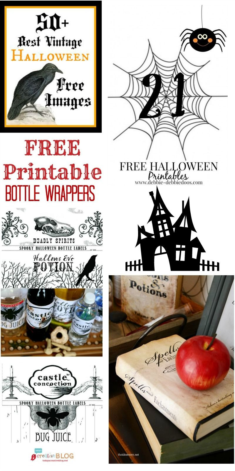 Last Minute Halloween Party Ideas
 Last Minute Halloween Party Costume and Decorating Ideas