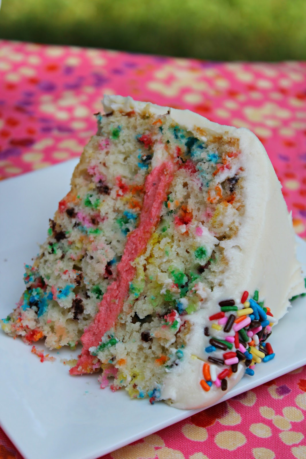 Layered Birthday Cake Recipes
 Easy Funfetti Layered Birthday Cake Carolina Charm