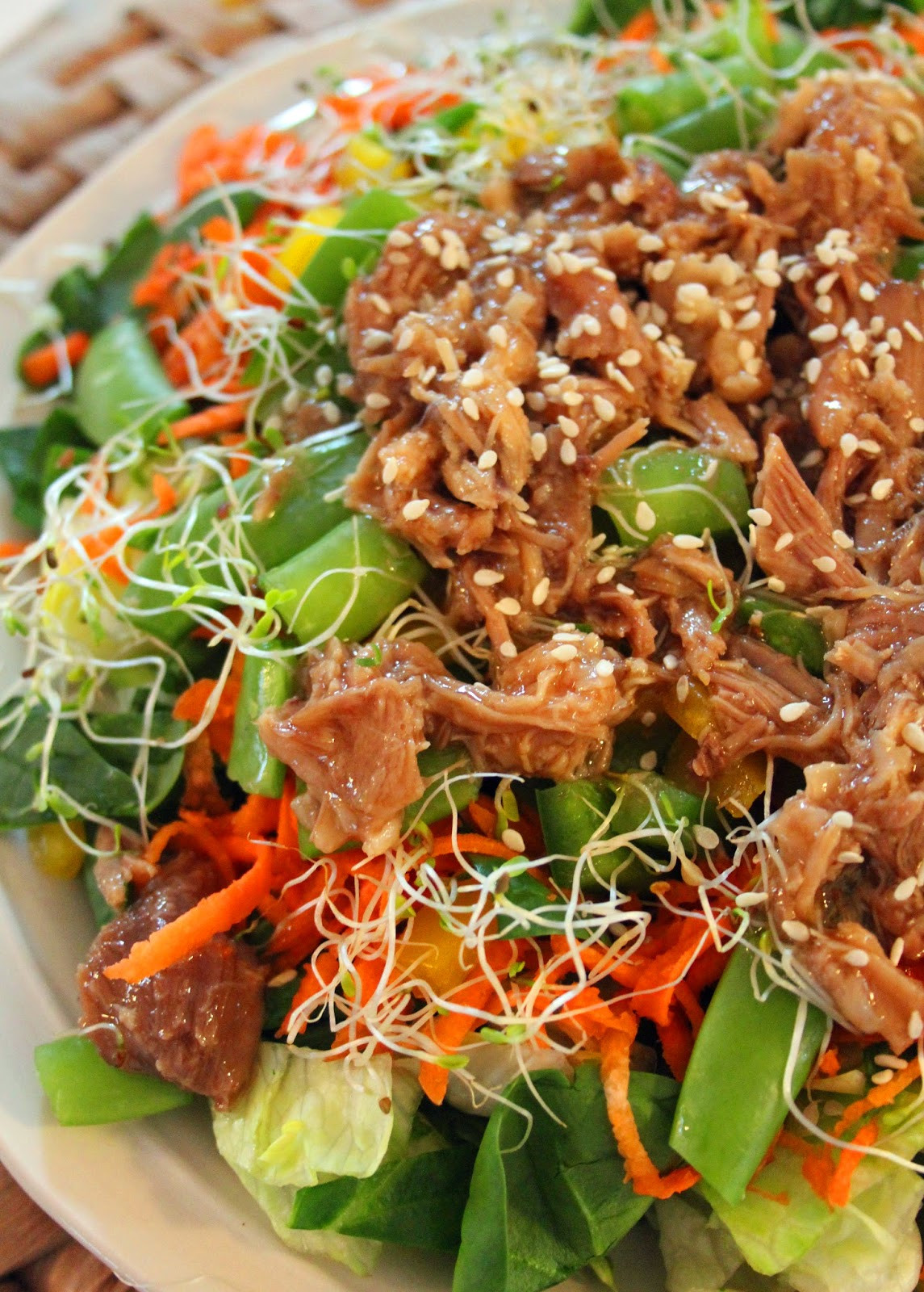 Leftover Pork Recipes Chinese
 Jo and Sue Asian Inspired Pulled Pork Salad