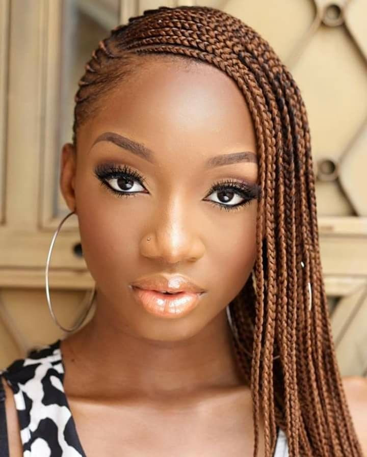 Lemonade Braids Hairstyles
 35 Lemonade Braids Styles for Elegant Protective Styling