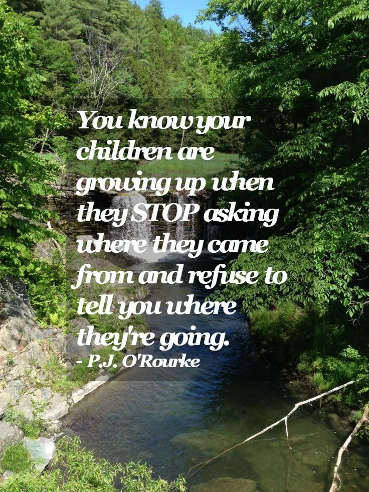 Letting Go Of Your Grown Child Quotes
 5 Signs You re Ready to Let Go of Your Adult Child