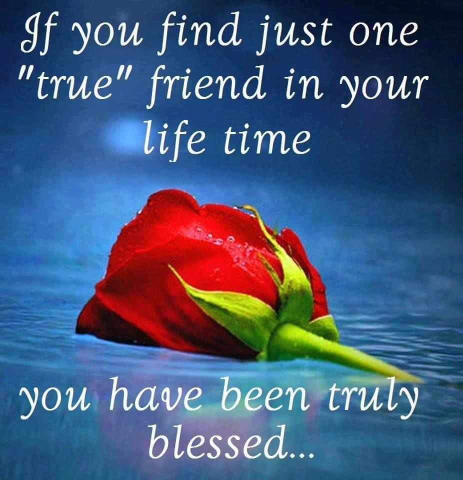 Lifetime Friends Quotes
 If You Find Just e True Friend In Your Lifetime You Are