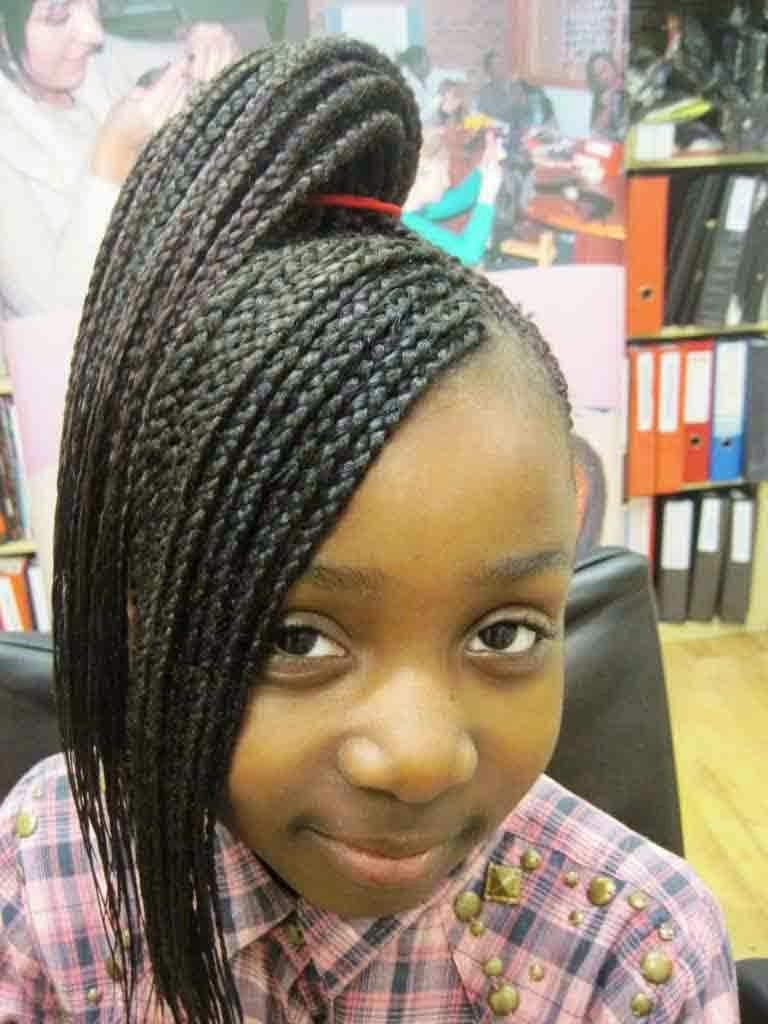 Little Girl Braid Hairstyles
 64 Cool Braided Hairstyles for Little Black Girls – HAIRSTYLES