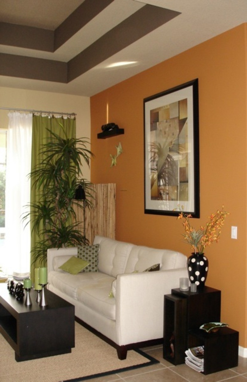 Living Room Paint Color
 Are the Living Room Paint Colors Really Important