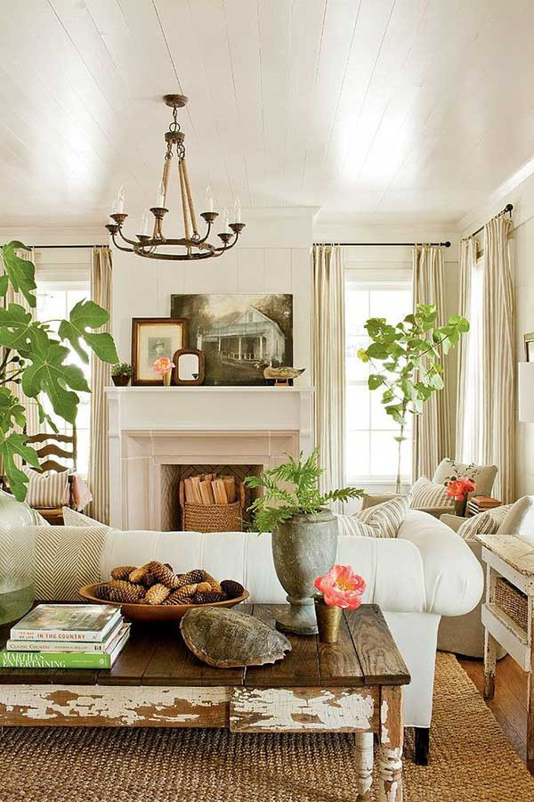 Living Room Plants Decor
 Adding Texture to Your Home 8 Easy Ways