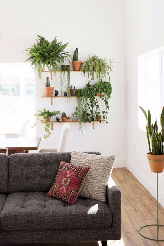 Living Room Plants Decor
 10 Beautiful Ways To Decorate Indoor Plant in Living Room