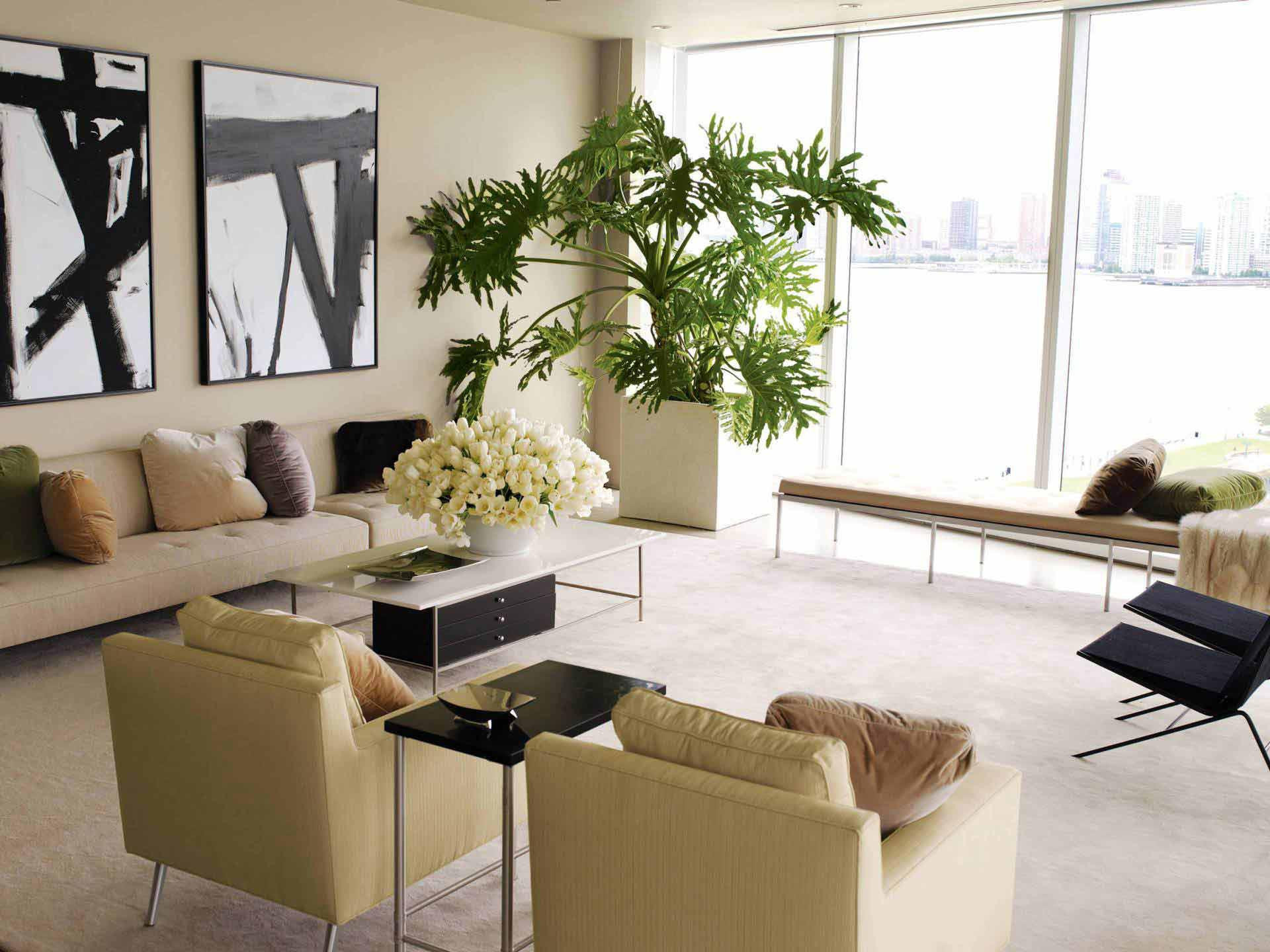 Living Room Plants Decor
 Decorating our homes with plants Interior Design Explained