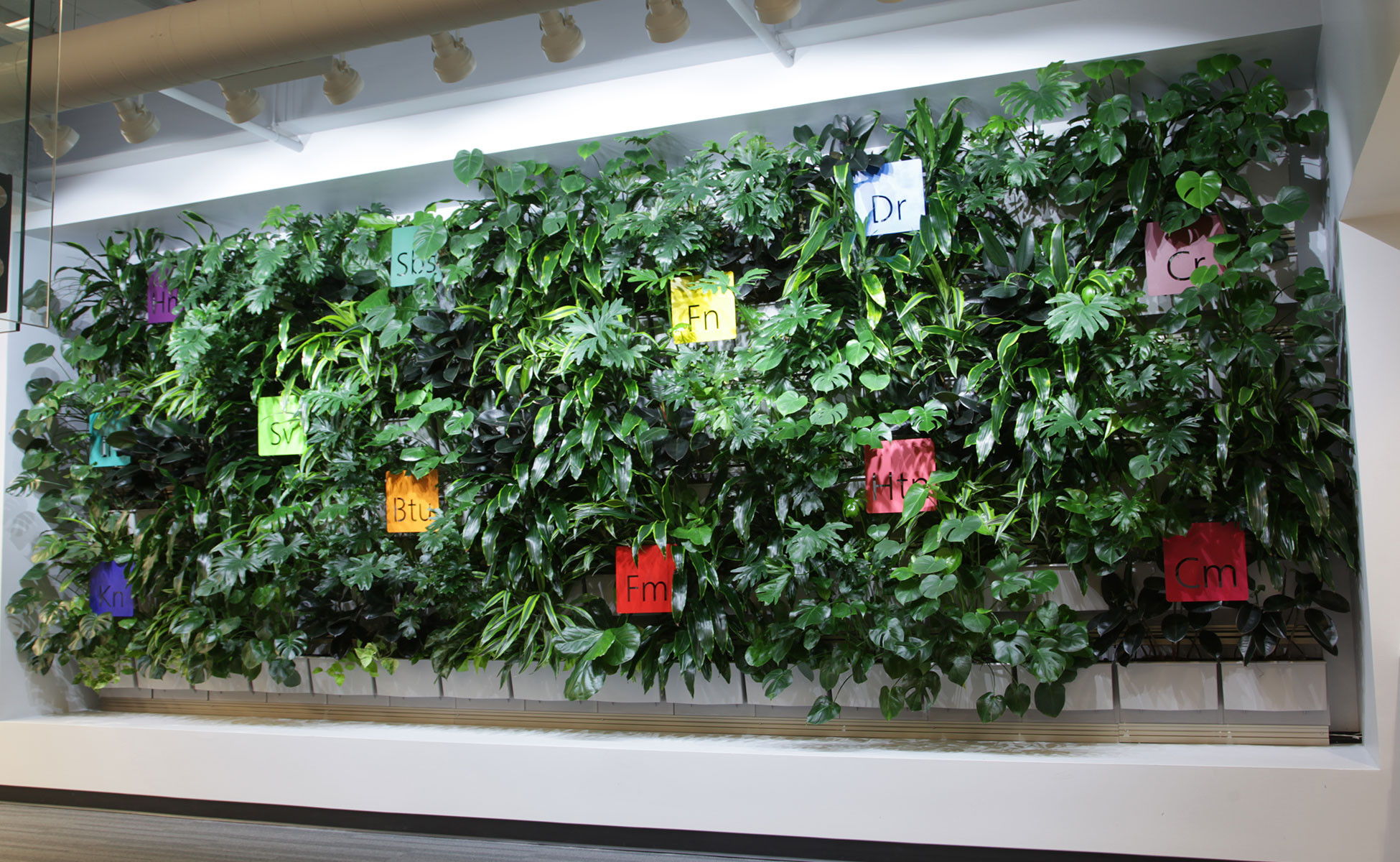 Living Walls Indoor
 Indoor Living Walls