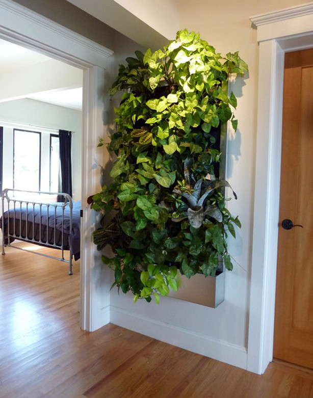 Living Walls Indoor
 Living Walls for Small Spaces – Urban Gardens Guest Post