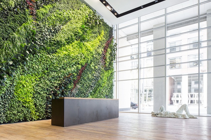 Living Walls Indoor
 Habitat Horticulture pletes largest indoor living wall