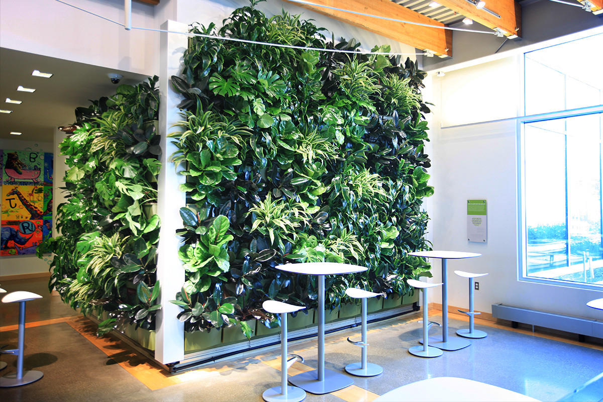 Living Walls Indoor
 Indoor Living Walls LiveWall Green Wall System