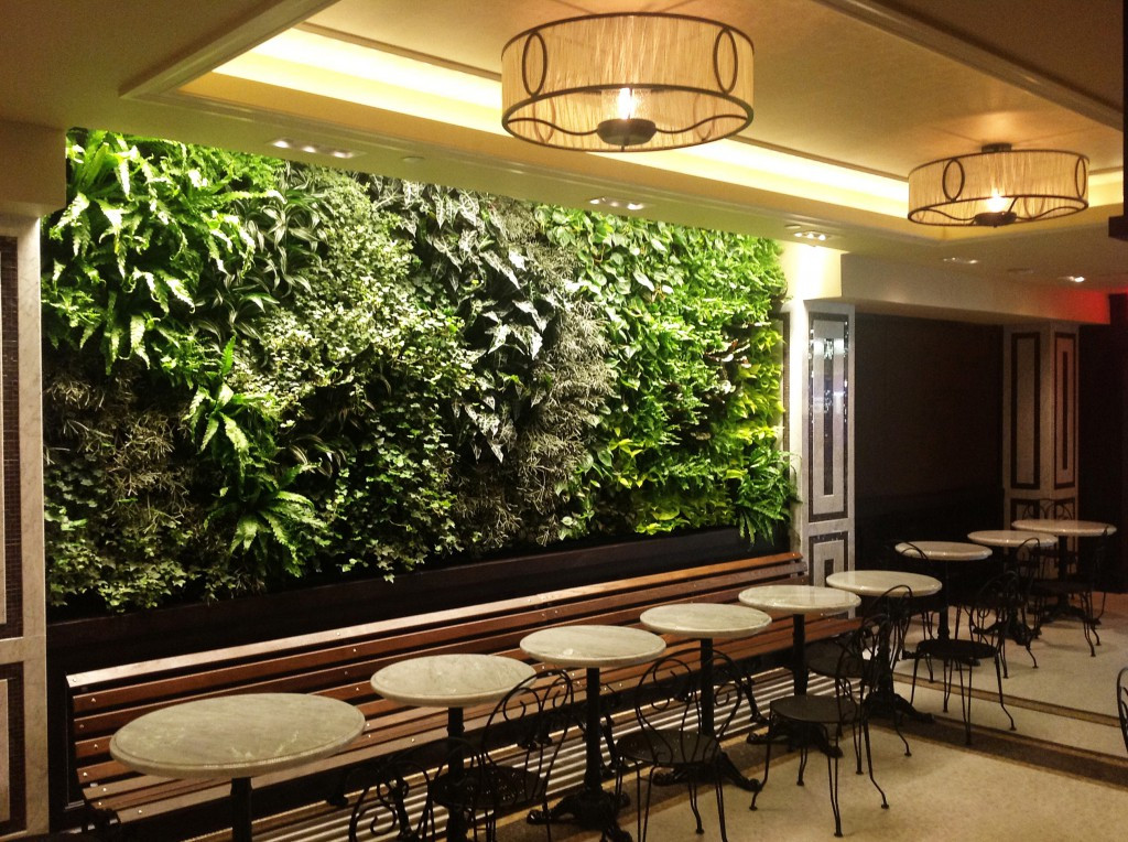 Living Walls Indoor
 Indoor living wall systems start to finish