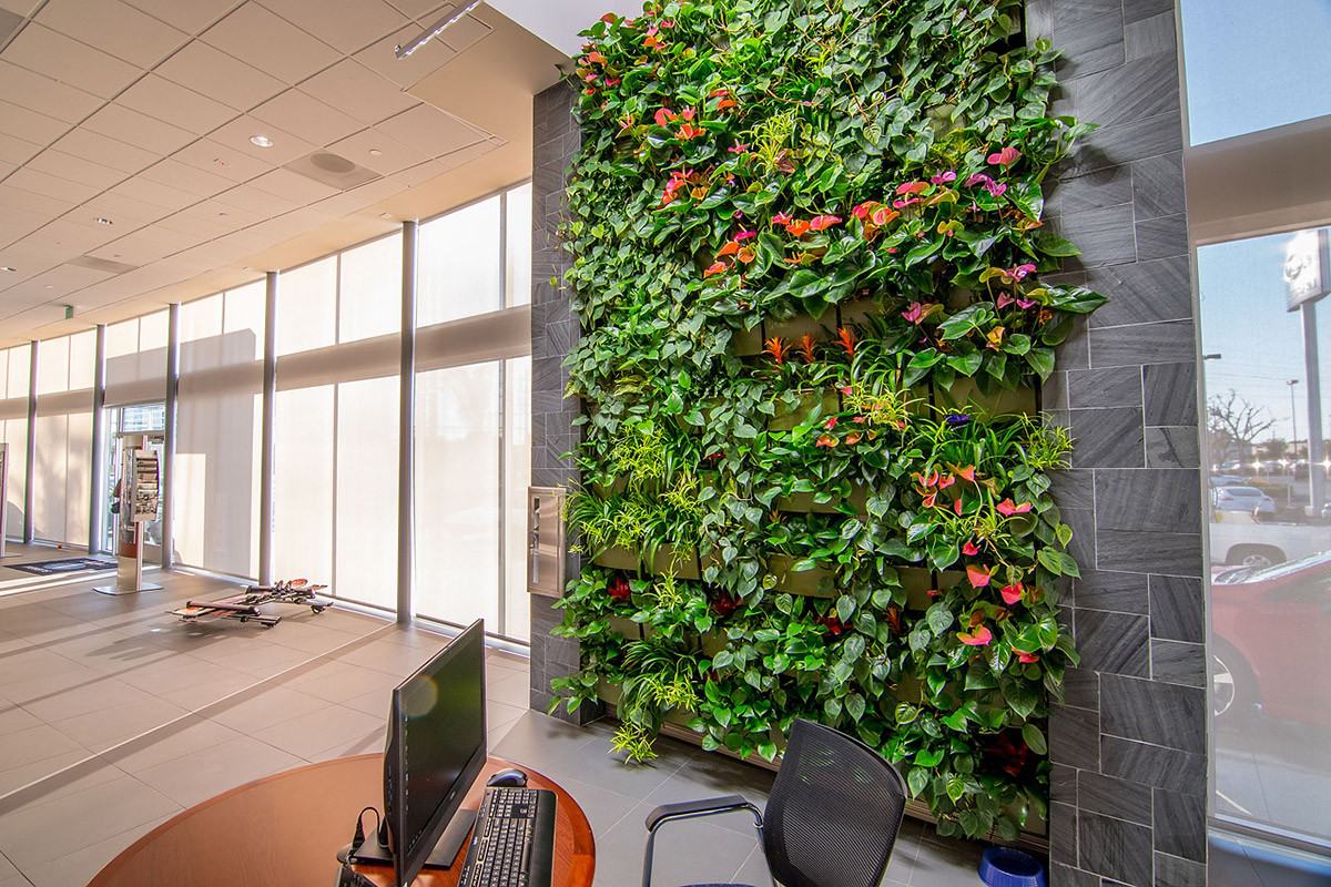 Living Walls Indoor
 Indoor Living Walls LiveWall Green Wall System