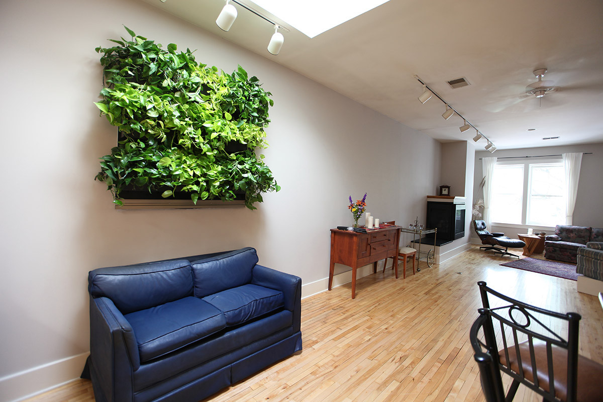 Living Walls Indoor
 Indoor Living Walls LiveWall Green Wall System