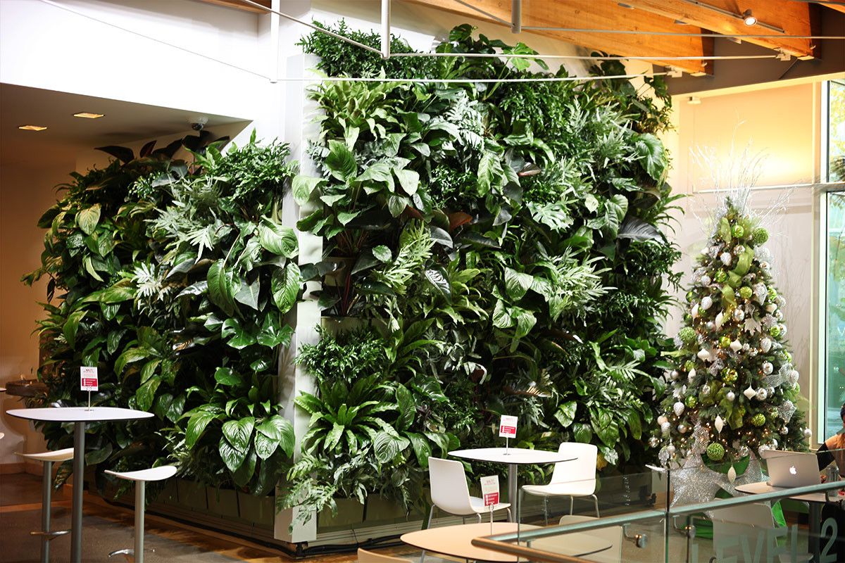 Living Walls Indoor
 Indoor Tropical Green Wall