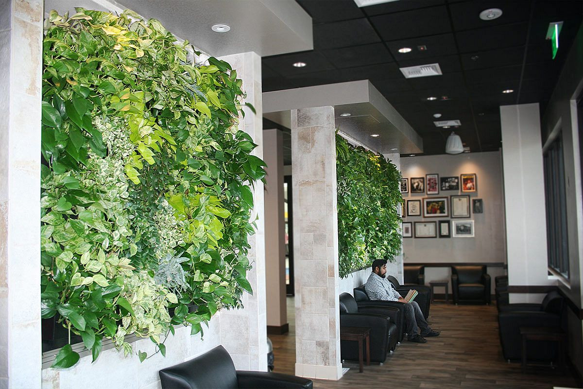 Living Walls Indoor
 Vertical Goodness 10 DIY Living Walls Kits for Green Living