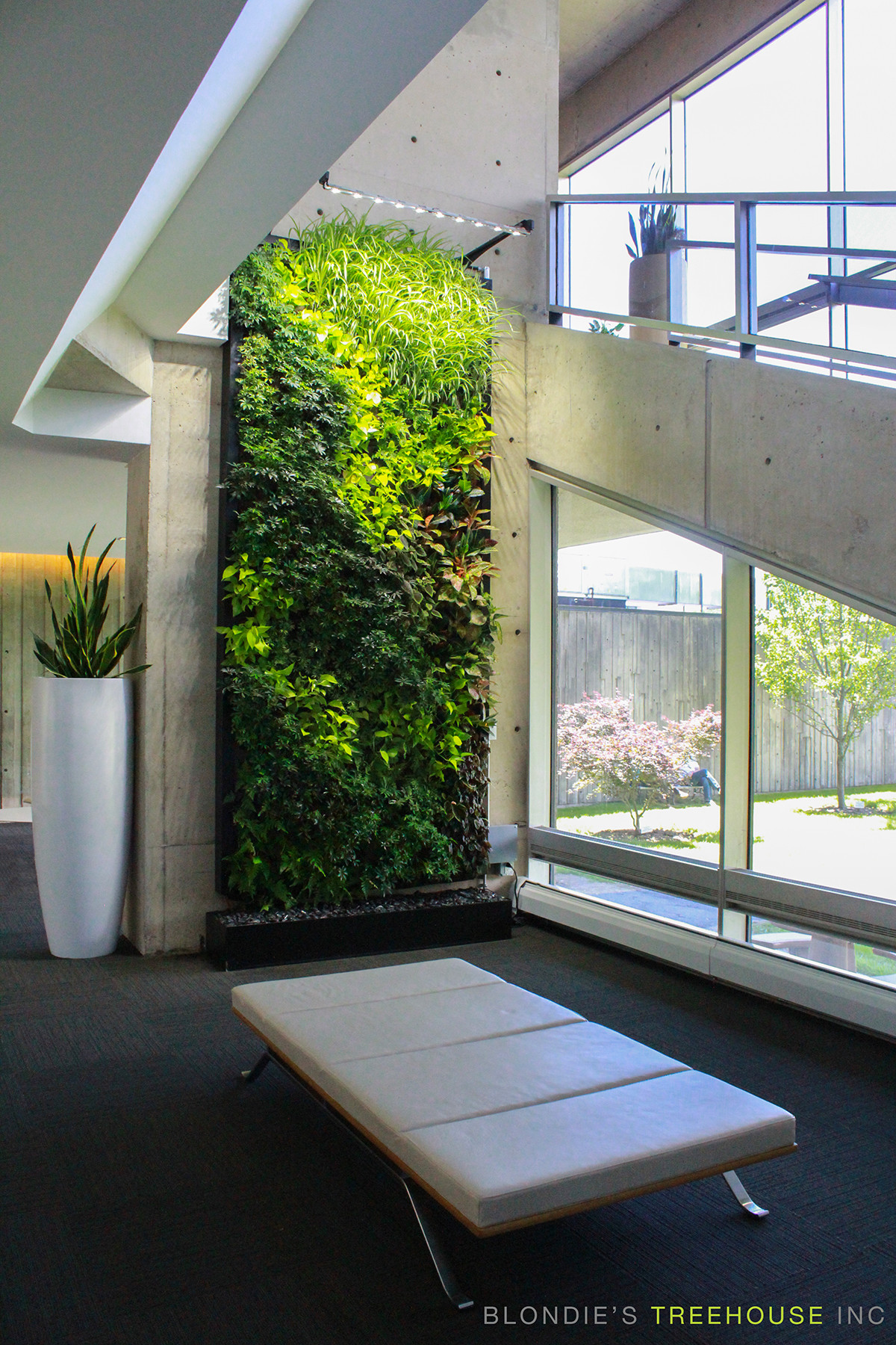 Living Walls Indoor
 SemperGreenwall Living Walls in Toronto Sempergreen