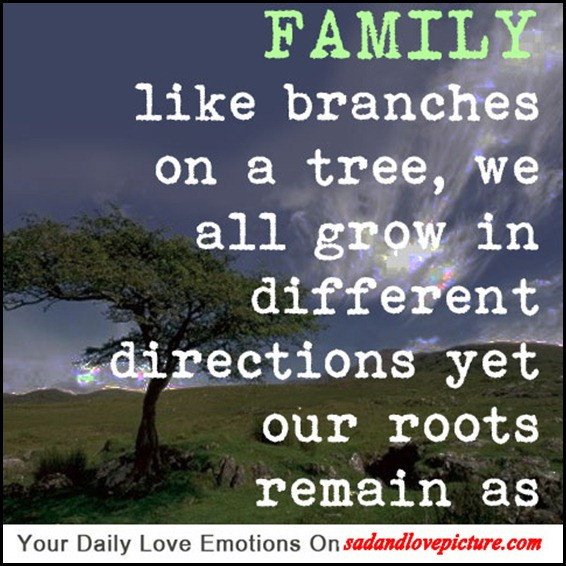 Long Distance Family Quotes
 Long Distance Family Quotes QuotesGram