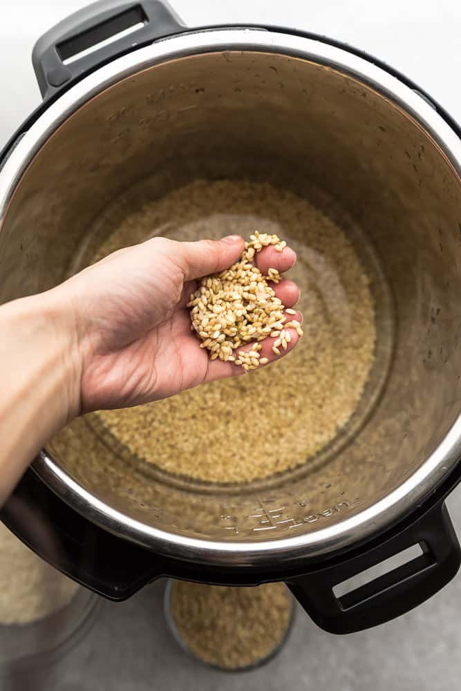 Long Grain Brown Rice Instant Pot
 How to Cook White or Brown Rice Perfectly in the Instant Pot