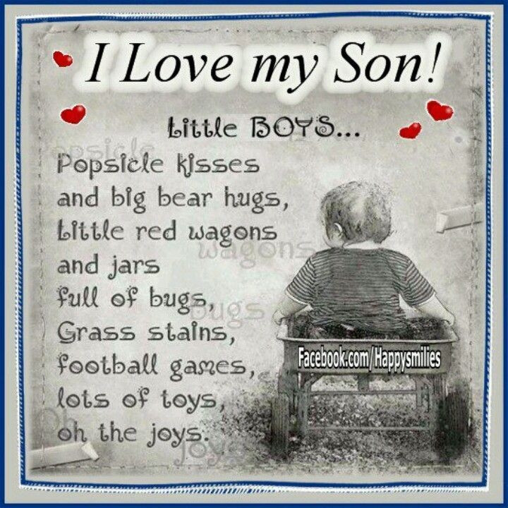 Love Quotes For Son
 I Love My Son Quotes QuotesGram