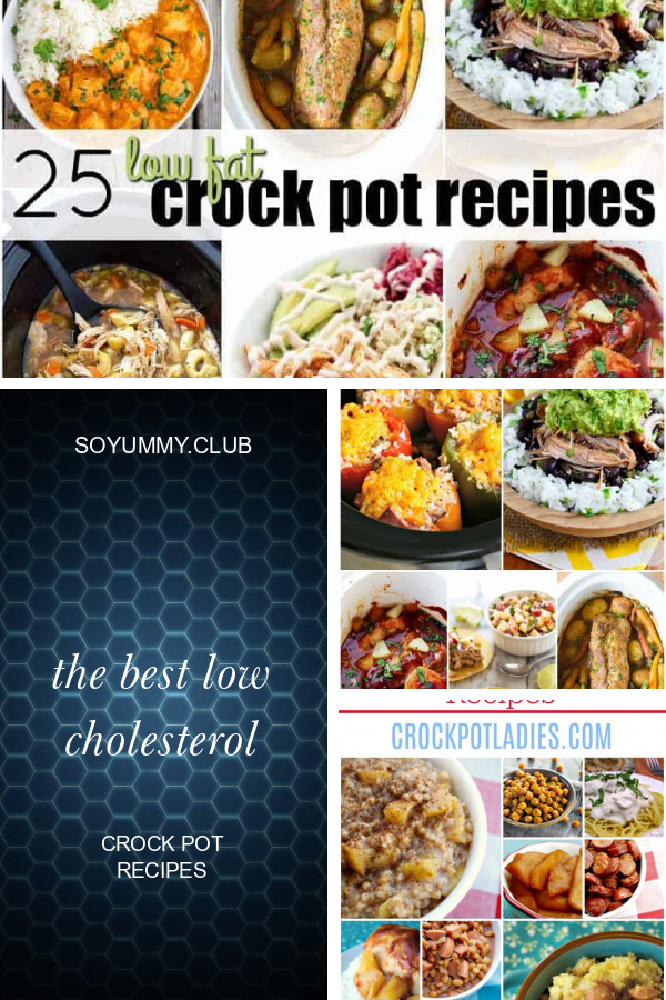 Low Cholesterol Crock Pot Recipes
 The Best Low Cholesterol Crock Pot Recipes Best Round Up