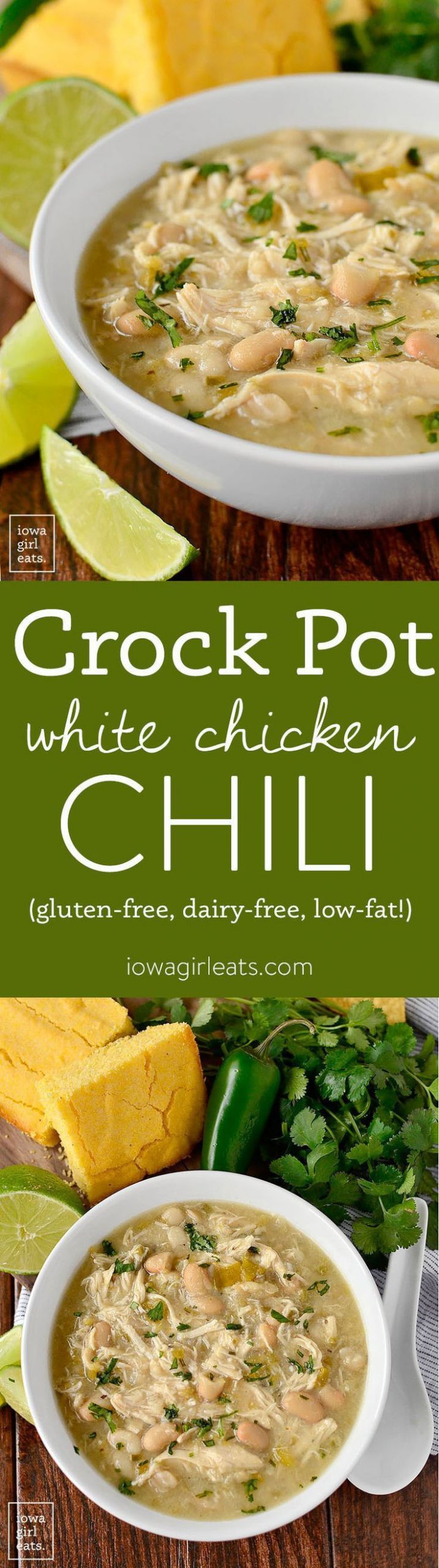 Low Cholesterol Crock Pot Recipes
 Best 35 Low Cholesterol Crock Pot Recipes Best Round Up