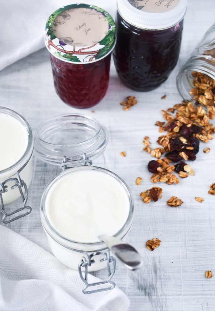 Low Cholesterol Desserts Store Bought
 Homemade Instant Pot Vanilla Yogurt Recipe