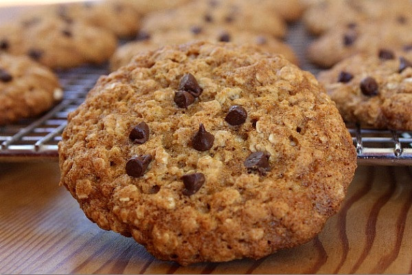 Low Cholesterol Oatmeal Cookies
 Low Fat Oatmeal Chocolate Chip Cookies Recipe Girl